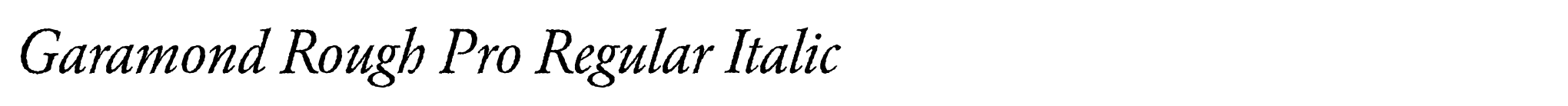 Garamond Rough Pro Regular Italic image